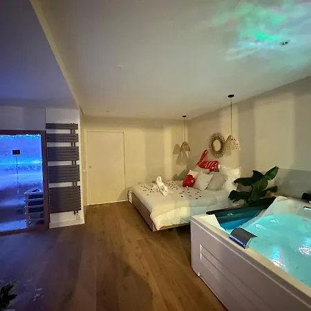 L Anaya Nantes Et Sauna Apartment