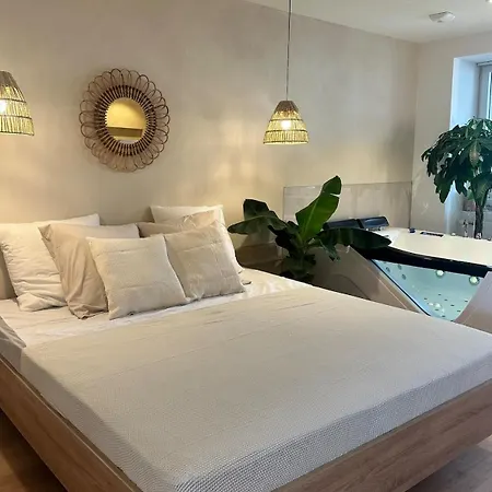 L Anaya Nantes Et Sauna * Reze