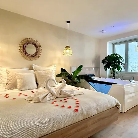 L Anaya Nantes Et Sauna Apartment