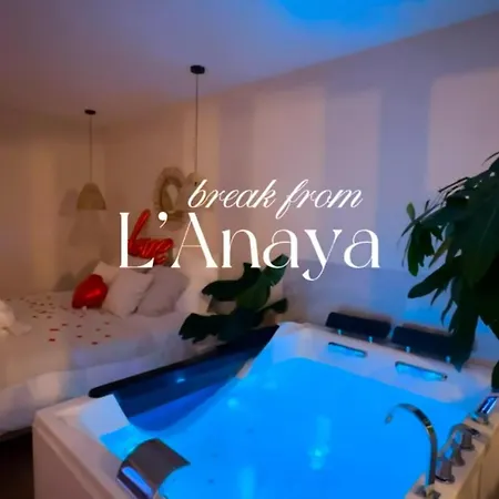 L Anaya Nantes Et Sauna *