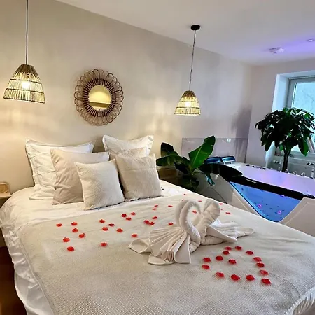 L Anaya Nantes Et Sauna Apartment Reze