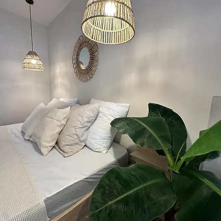 Apartment L Anaya Nantes Et Sauna