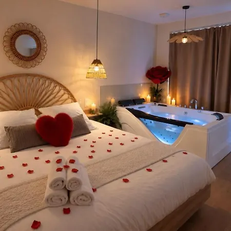 L Anaya Nantes Et Sauna *