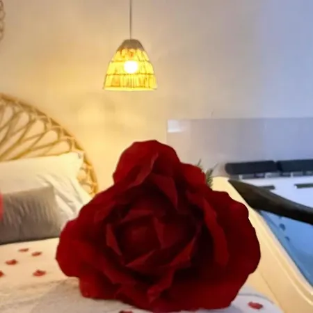 L Anaya Nantes Et Sauna Rezé