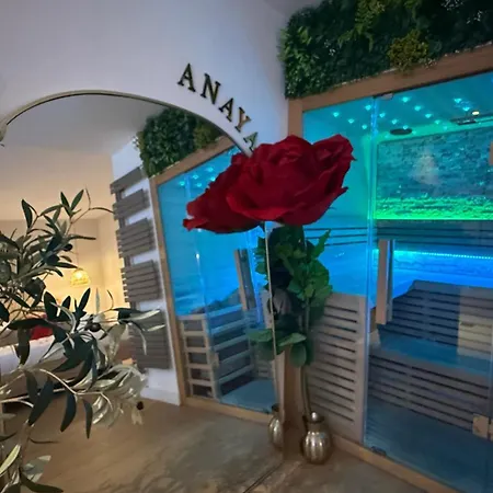 L Anaya Nantes Et Sauna *