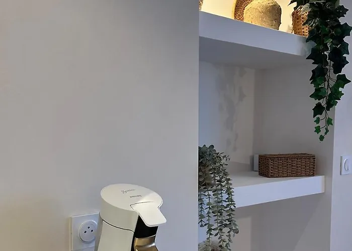 L Anaya Nantes Et Sauna Appartement Rezé