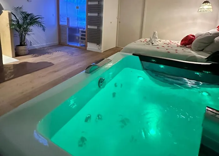 L Anaya Nantes Et Sauna * Rezé