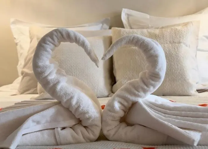 L Anaya Nantes Et Sauna * Rezé