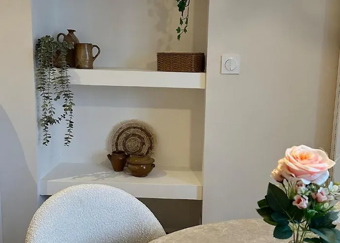 L Anaya Nantes Et Sauna Appartement